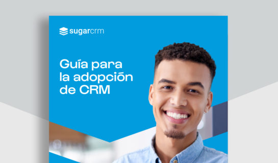 Guía para la adopción del CRM