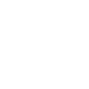 Act Faster icon | Telecom Industry CRM | SugarCRM